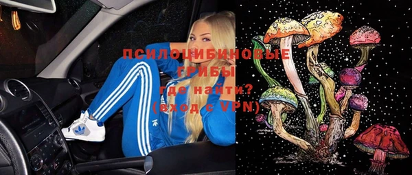 гидра Медногорск