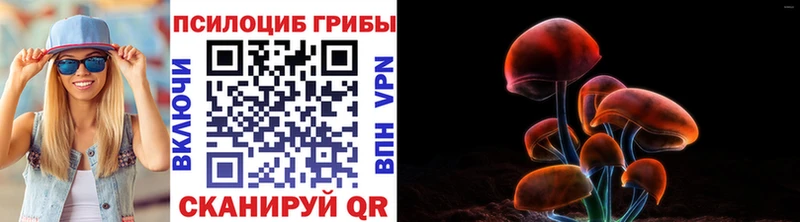 Псилоцибиновые грибы прущие грибы  как найти наркотики  Ардатов 